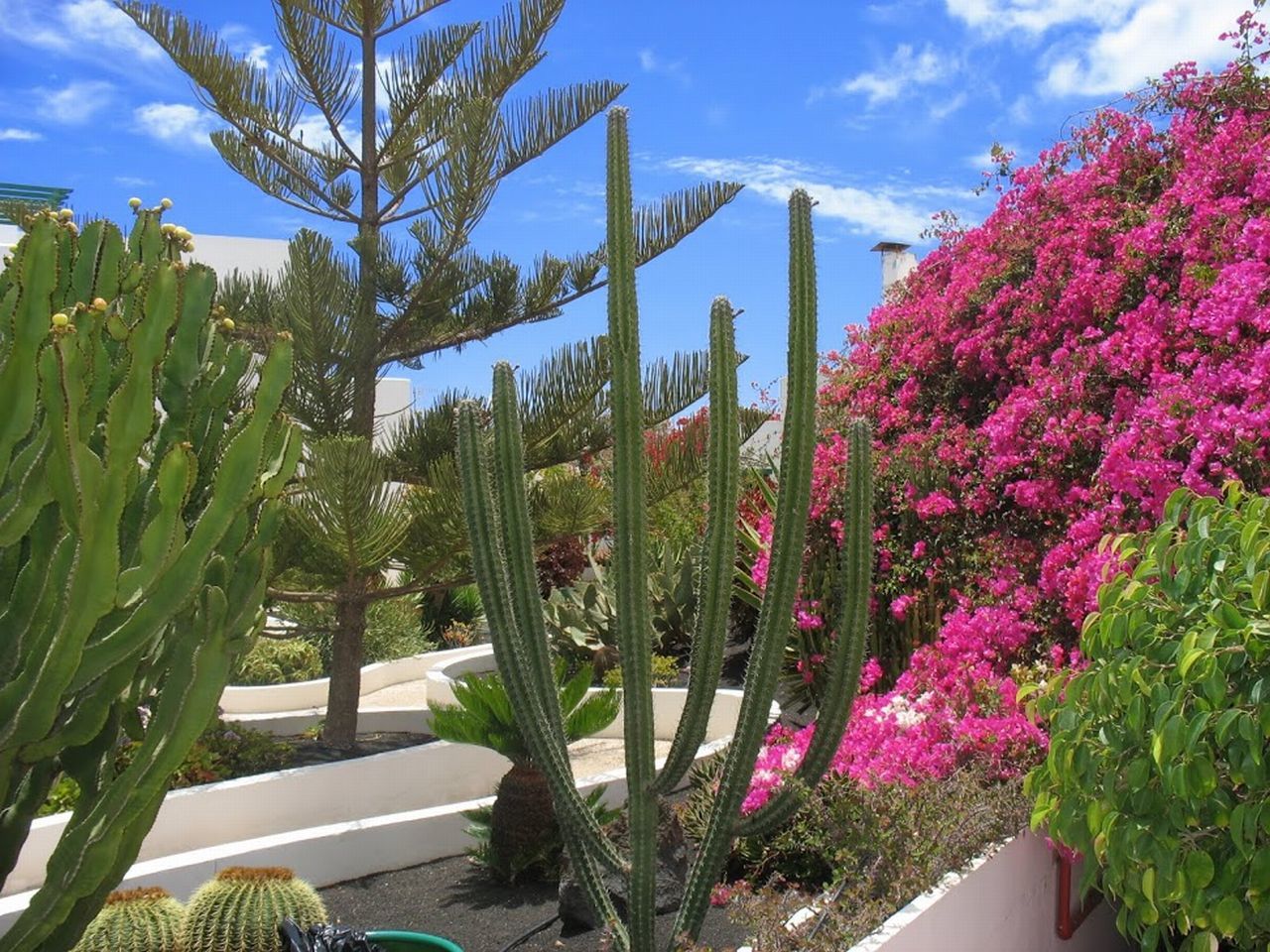 Apartamentos El Guarapo Costa Teguise Eksteriør billede